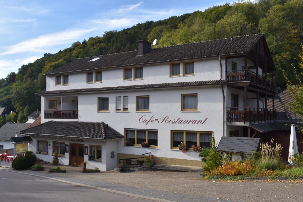 Biersdorf Hotel-Restaurant Theis-Muehle מראה חיצוני תמונה